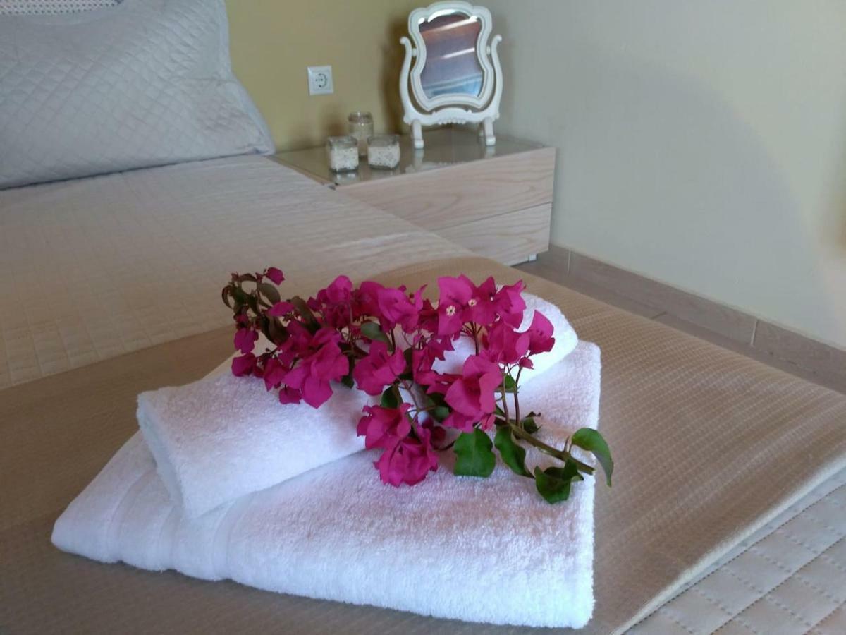 New Country House Salvia Sitia (Crete)