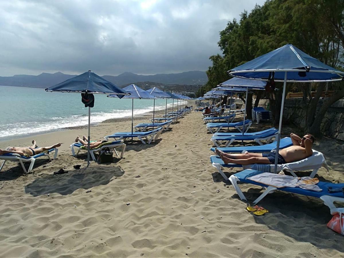 New Salvia Tatil Evi Sitia (Crete)
