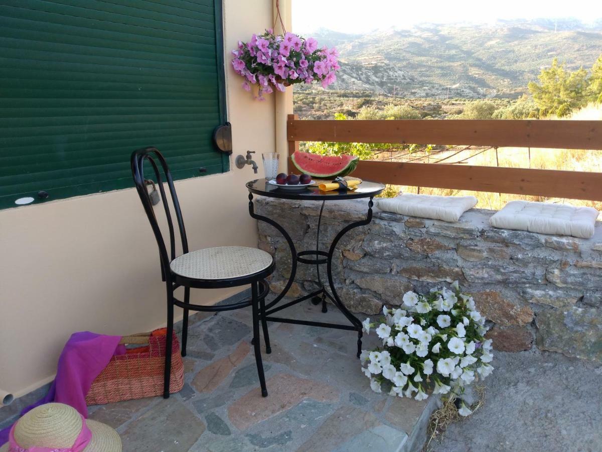 New Salvia Tatil Evi
