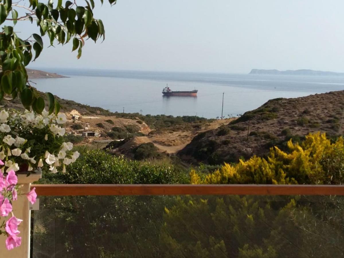 Tatil Evi New Salvia *