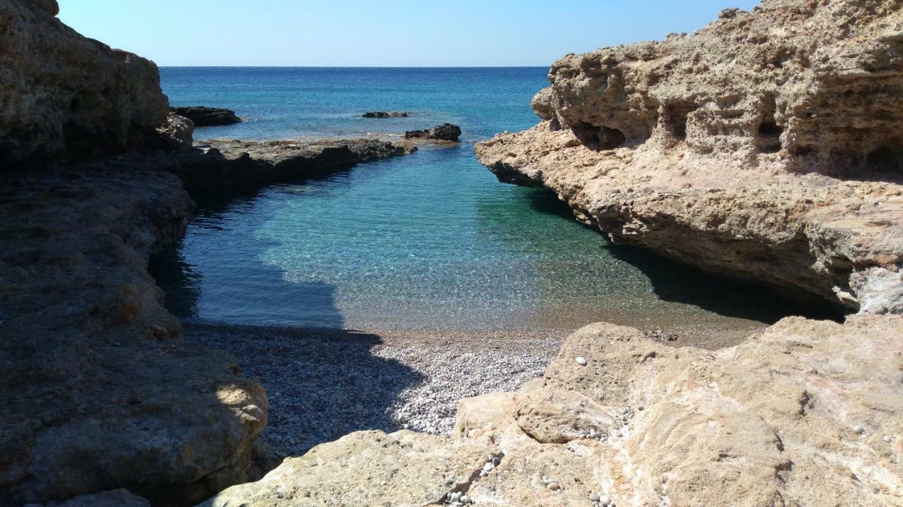 Tatil Evi New Salvia